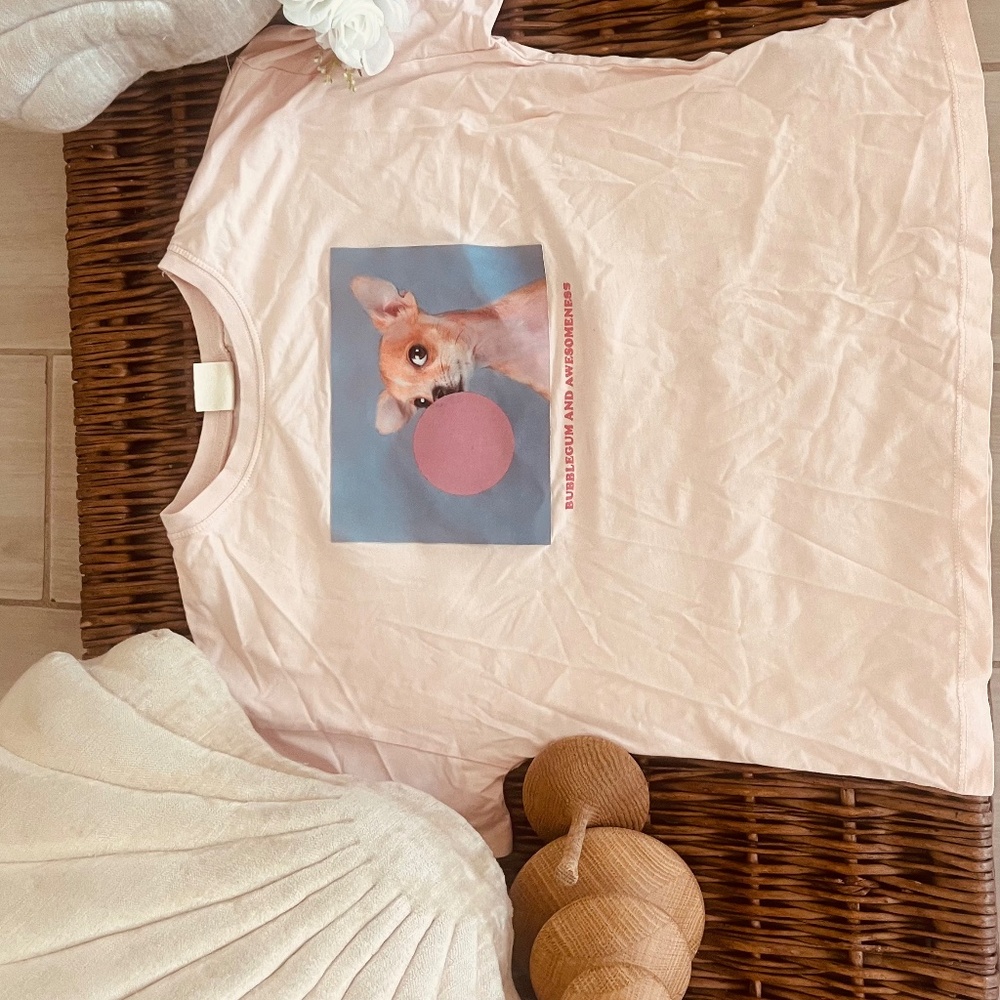 Zara kids, size 11-12, Chihuahua Bubblegum Shirt in Baby Pink